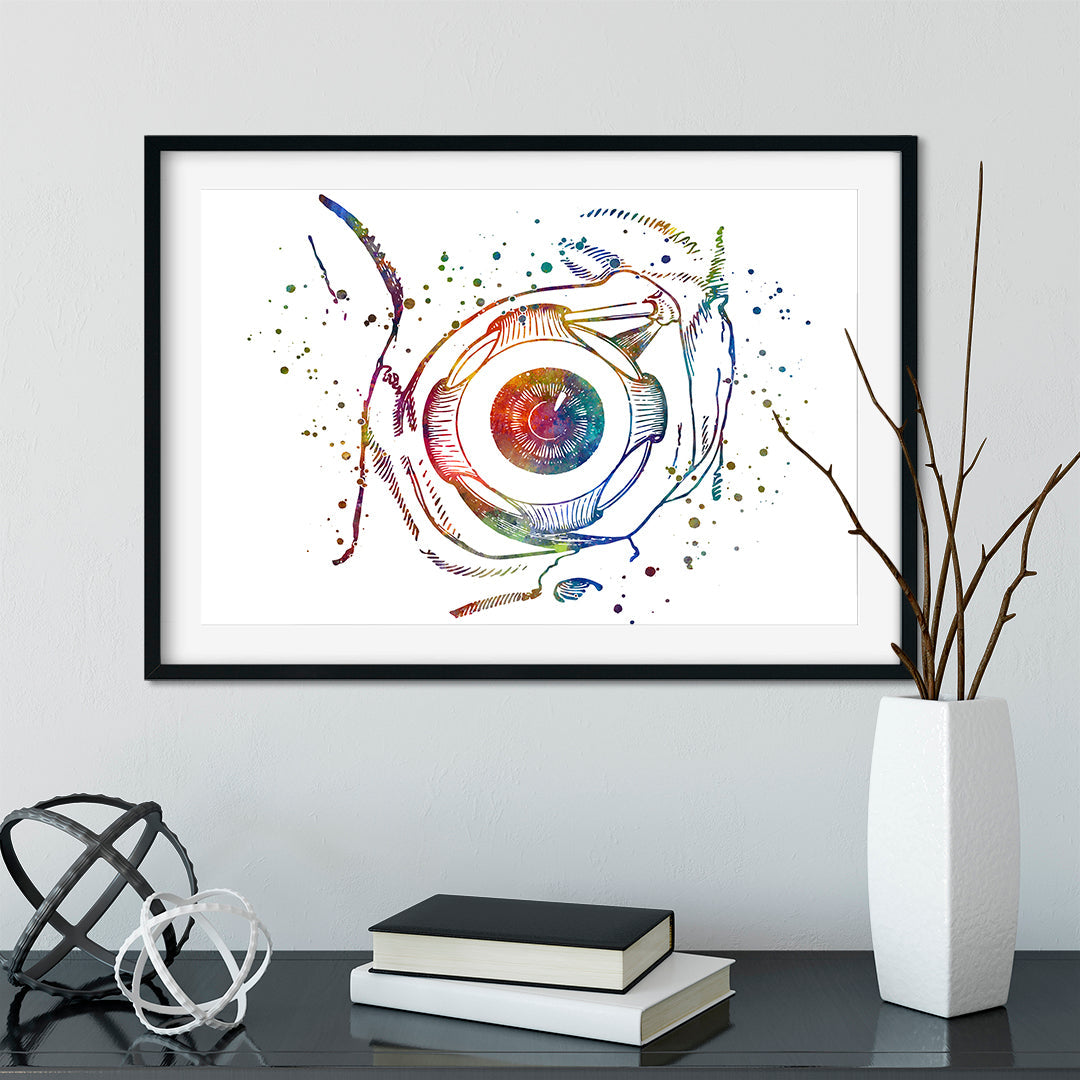 Human Eyeball Anatomy Art Watercolor Print