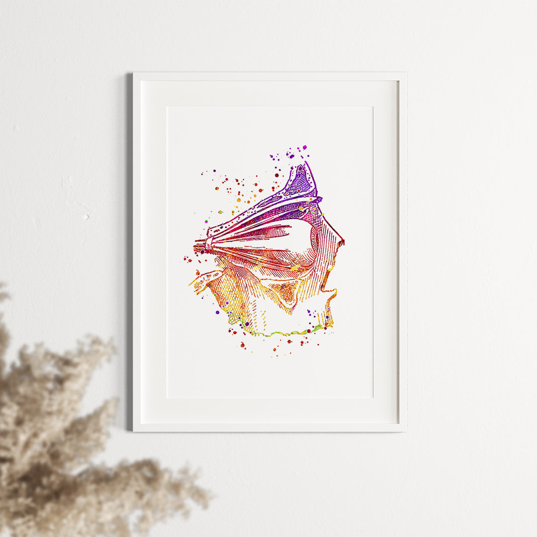 Eye Nerves Anatomical Watercolor Art Print