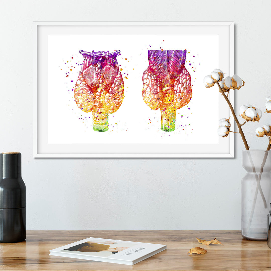 Human Thyroid Gland Watercolor Anatomical Art Print