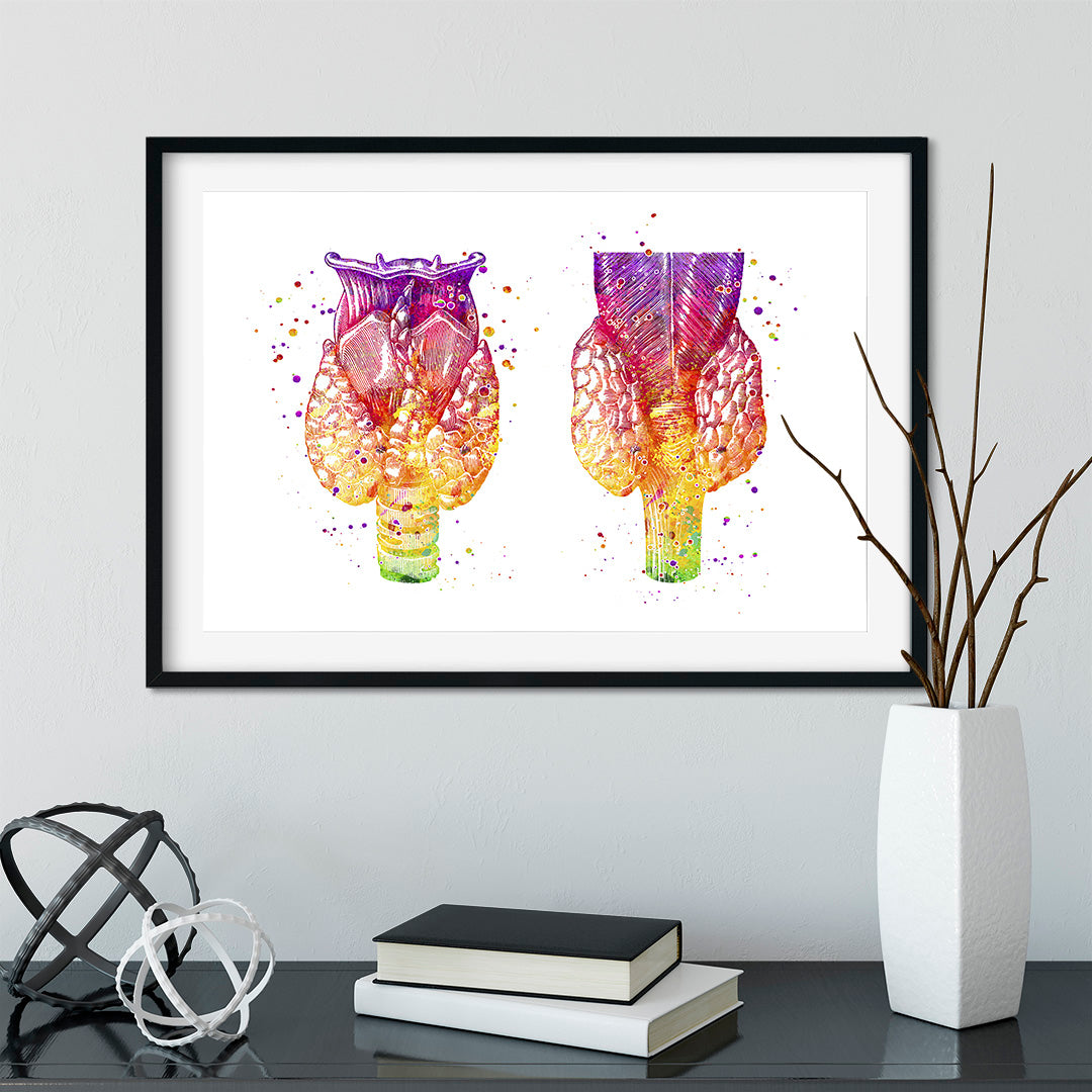 Human Thyroid Gland Watercolor Anatomical Art Print