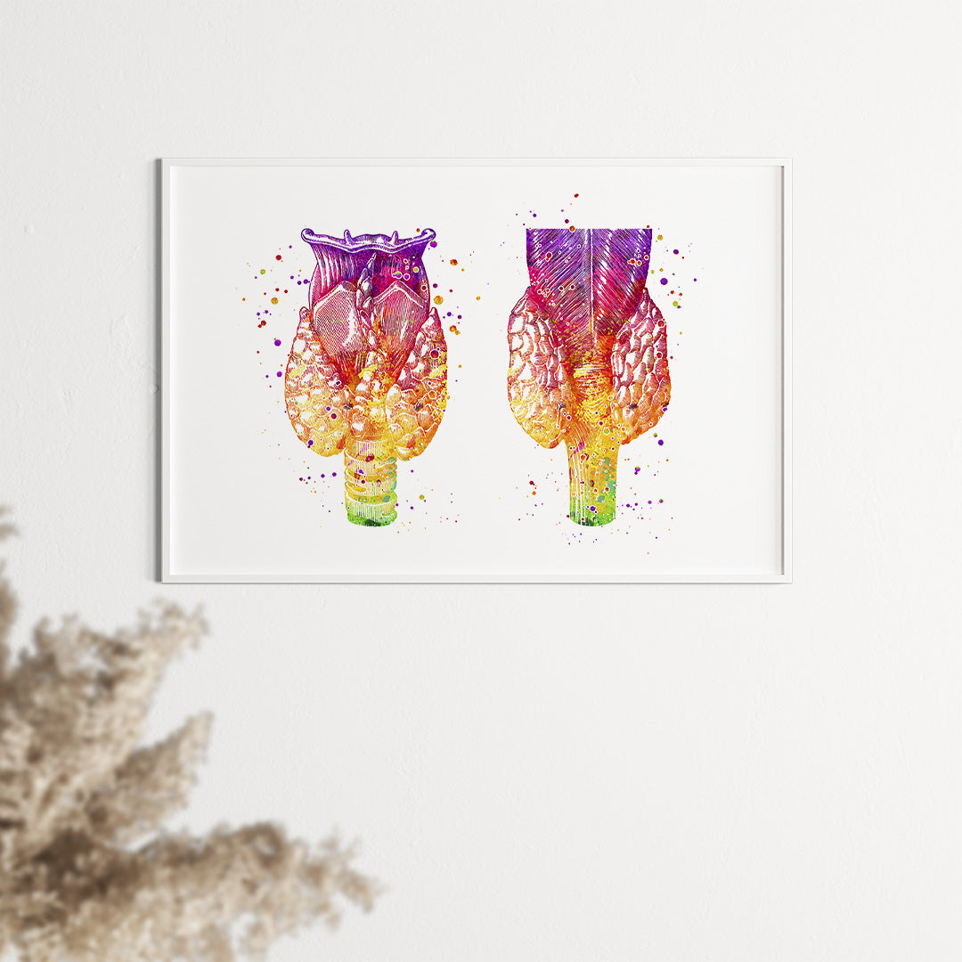 Human Thyroid Gland Watercolor Anatomical Art Print