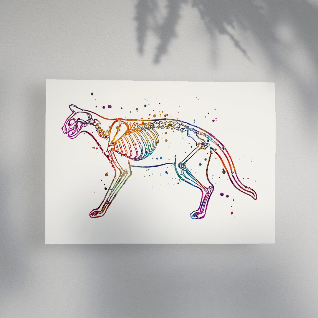 Cat Skeletom Anatomy Watercolor Art Print