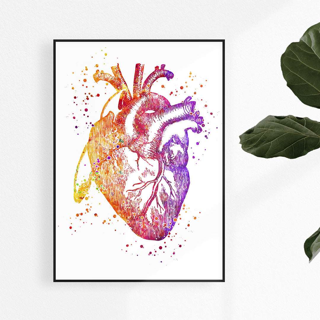 Human Heart Anatomy art print