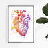 Human Heart Anatomy art print