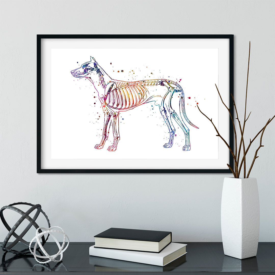 Dog Anatomy Watercolor Art Print