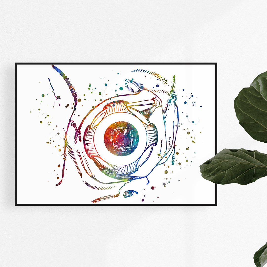 Human Eyeball Anatomy Art Watercolor Print