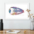 Human Anatomy Art Print Eye Anatomical Artwork