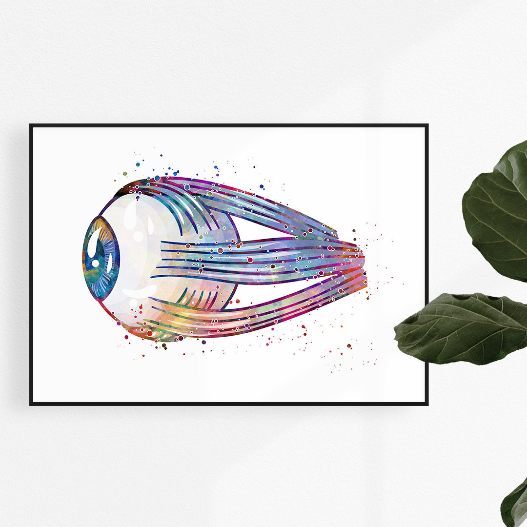 Human Anatomy Art Print Eye Anatomical Artwork