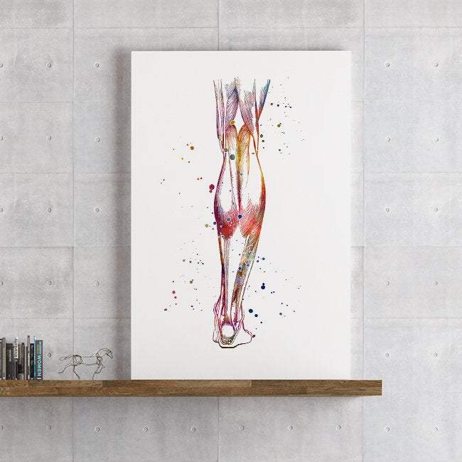 Muscles of the Lower Leg Anatomy Art Watercolor Print