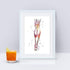 Muscles of the Lower Leg Anatomy Art Watercolor Print