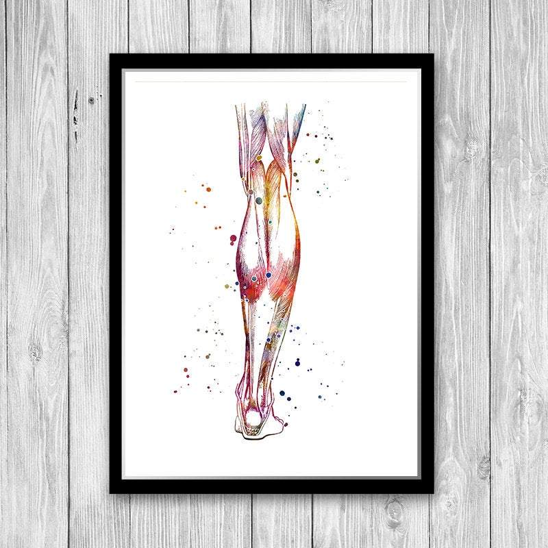Muscles of the Lower Leg Anatomy Art Watercolor Print