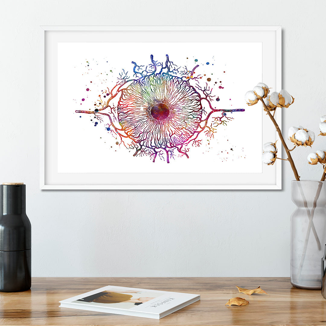 Iris Eye Anatomy Art Colorful Watercolor Print