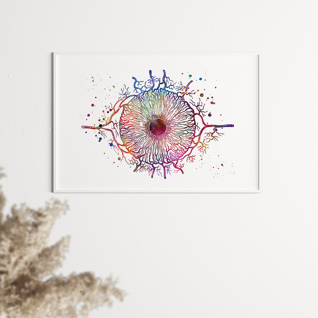 Iris Eye Anatomy Art Colorful Watercolor Print
