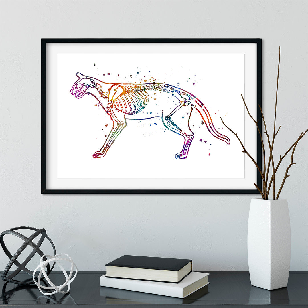 Cat Skeletom Anatomy Watercolor Art Print